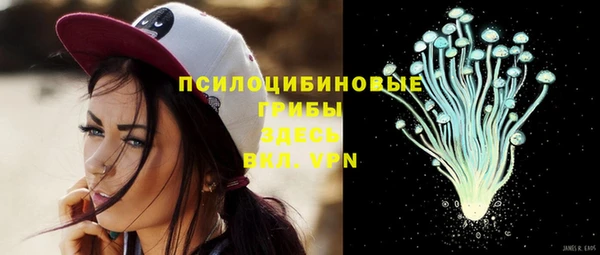 прущая мука Богданович