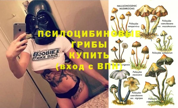 mix Богородицк