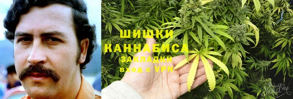mix Богородицк
