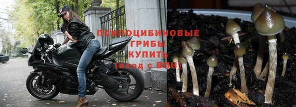 героин Богородск